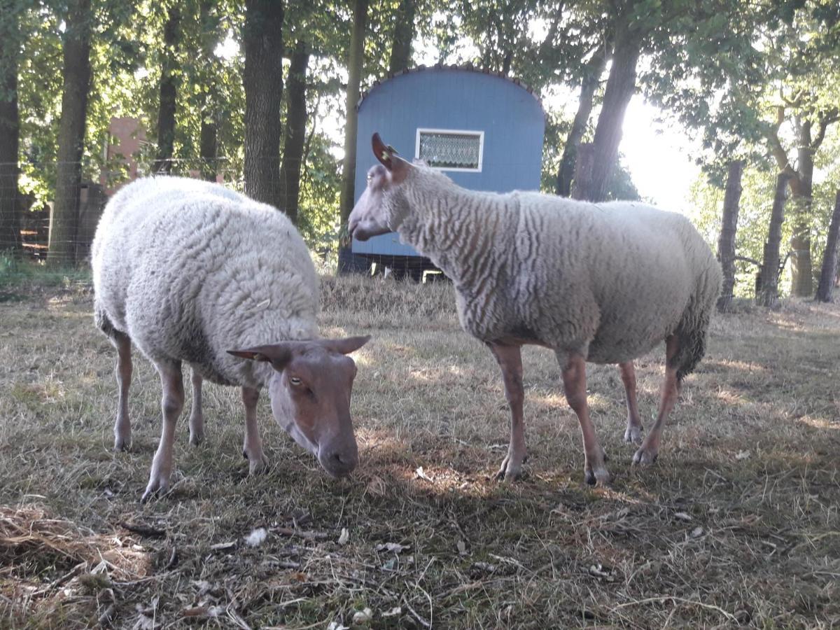 Ferienwohnung 1 Bauernhof Von Eden Surwold Kültér fotó